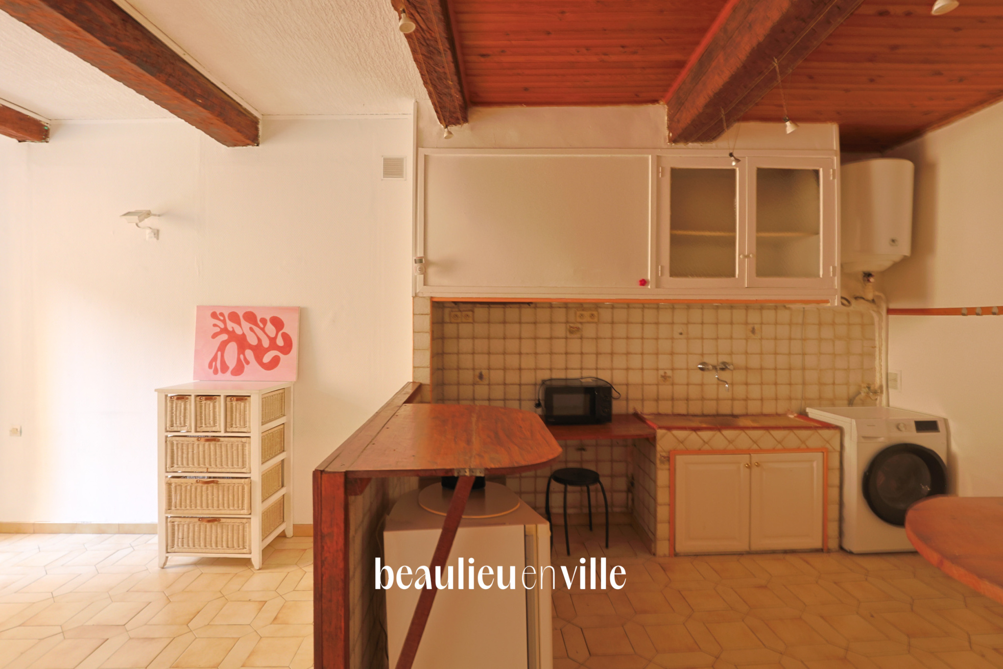EXCLUSIVITE - PANIER / ACCOULES - STUDIO 29m2 - CAVE - 110 000€