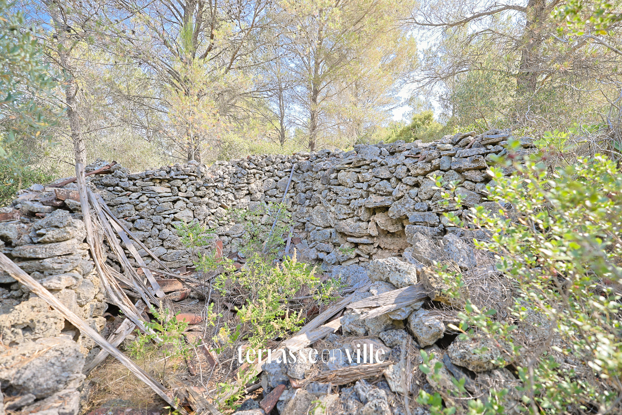 Terrain 2,3HA - Bastidon de 17M2