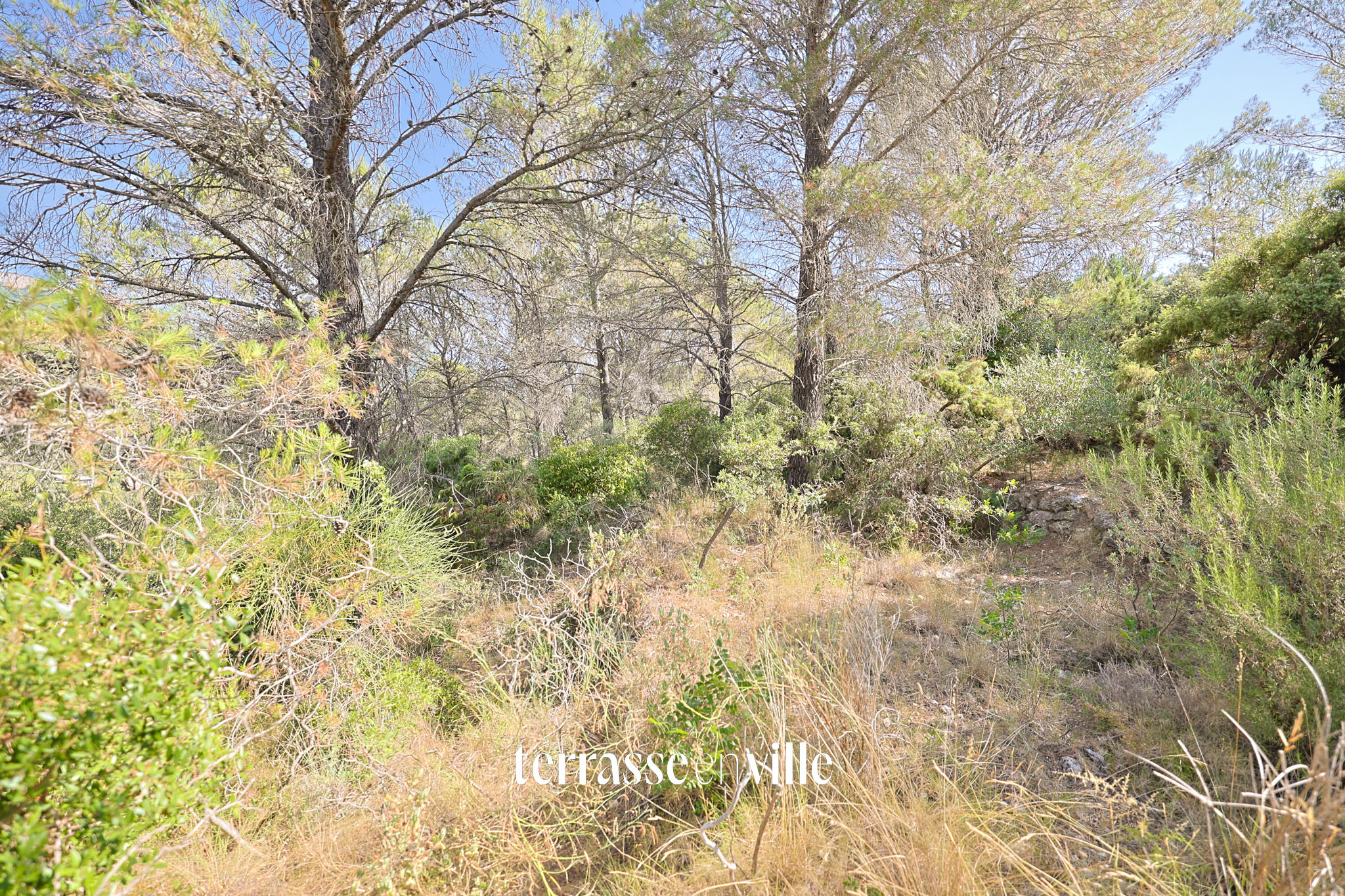 Terrain 2,3HA - Bastidon de 17M2