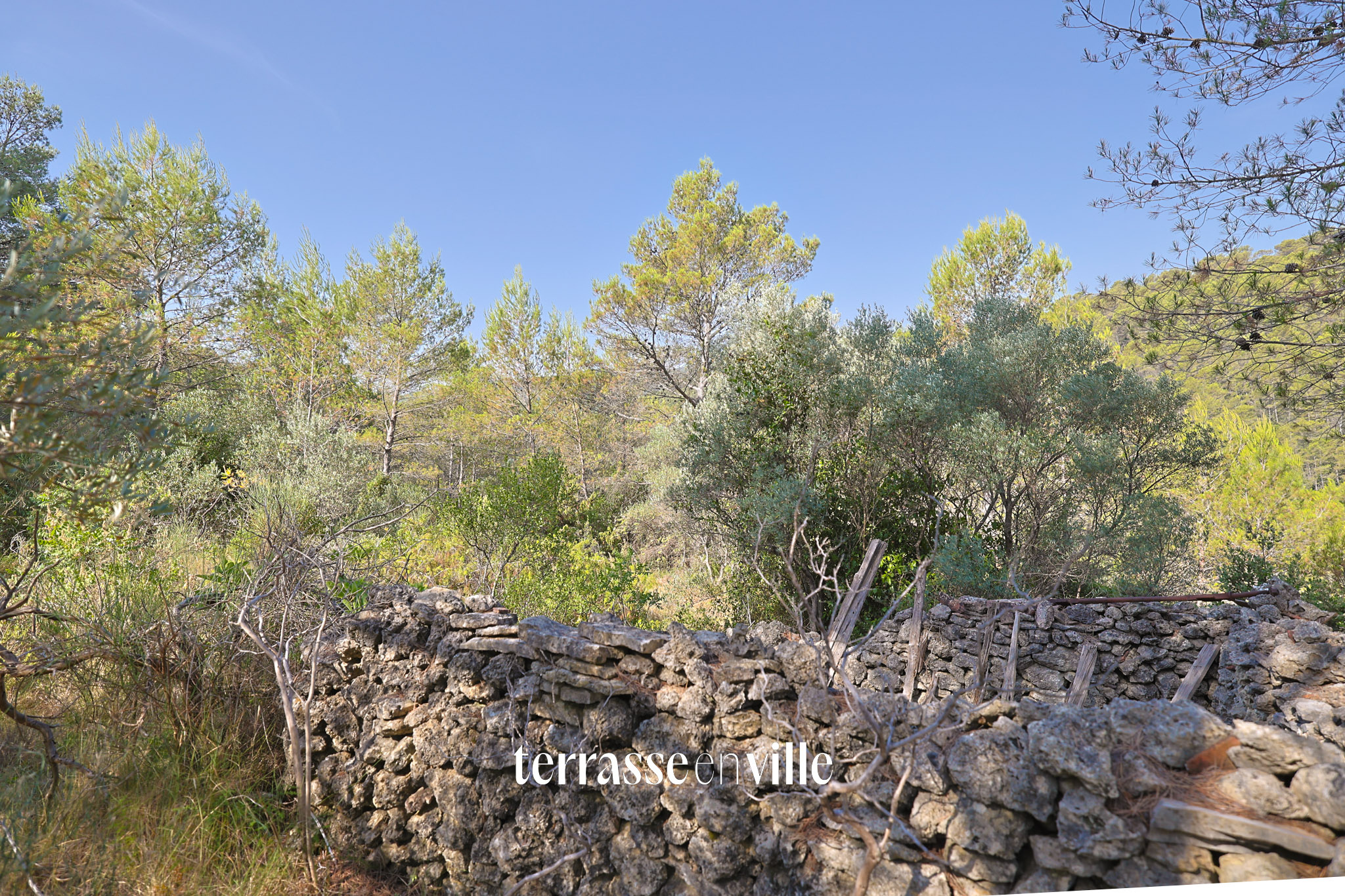 Terrain 2,3HA - Bastidon de 17M2