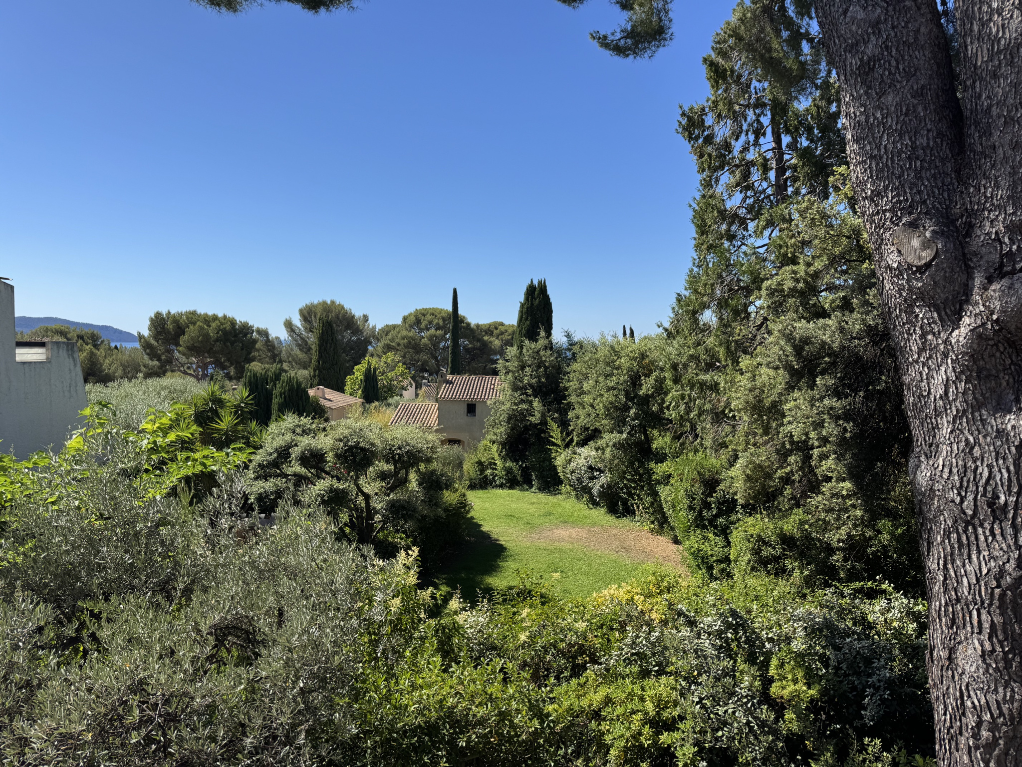 Quartier Fontsainte - T2 39m2 - Terrasse vue pinède et mer - Piscine - Parking privé - 289 000€